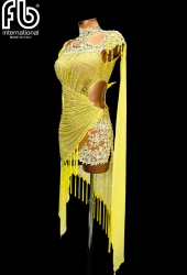 NEW latin dress