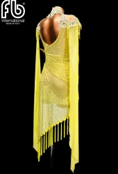 NEW latin dress