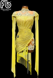 NEW latin dress