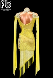 NEW latin dress
