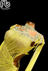 NEW latin dress