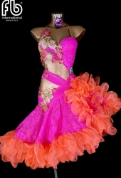 NEW latin dress