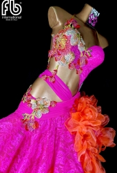 NEW latin dress