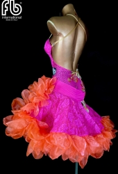 NEW latin dress