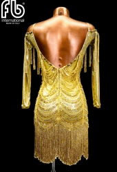 NEW Latin dress