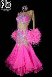 Standard/Smooth dress