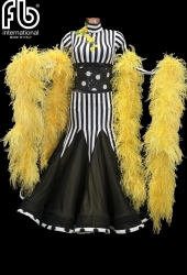 Ballroom dress