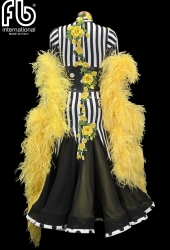 Ballroom dress