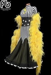 Ballroom dress