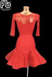 Rubino leotard and Iris skirt